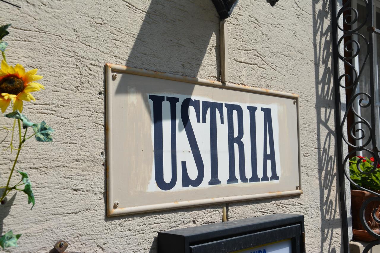 Ustria Crusch Alva Tavanasa Exterior foto